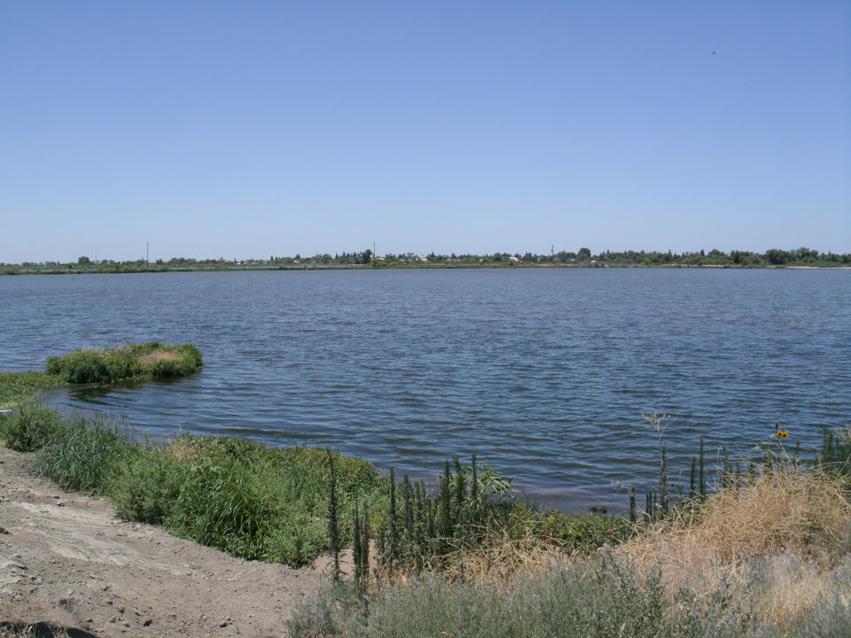 Groundwater Models